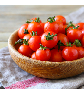 Fresh Tomato Flavour